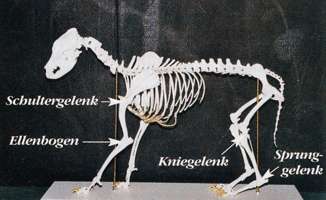 Abbildung 4 Abbildung 4