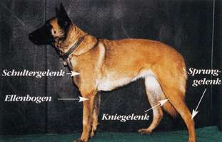 Abbildung 5 Abbildung 5